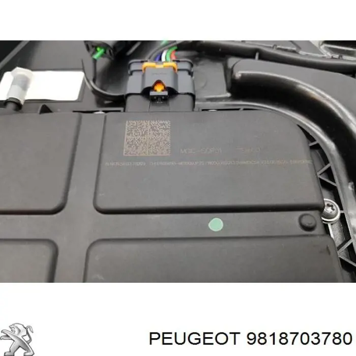Do koszyka 9818703780 Peugeot/Citroen Zbiornik AD BLUE
