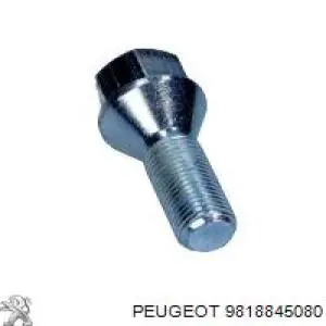 Do koszyka 9818845080 Peugeot/Citroen Śruba koła