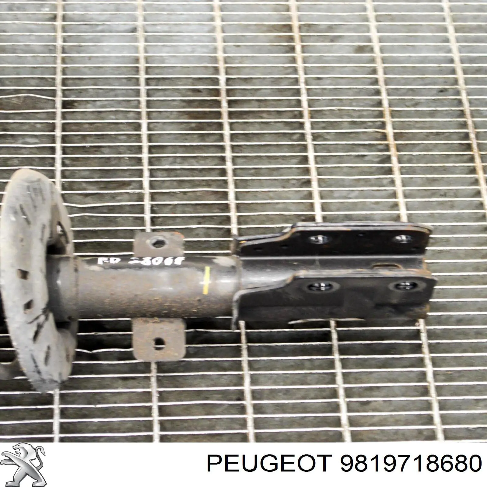 Amortyzator przedni Peugeot/Citroen 9819718780 cena, od 93,64 USD