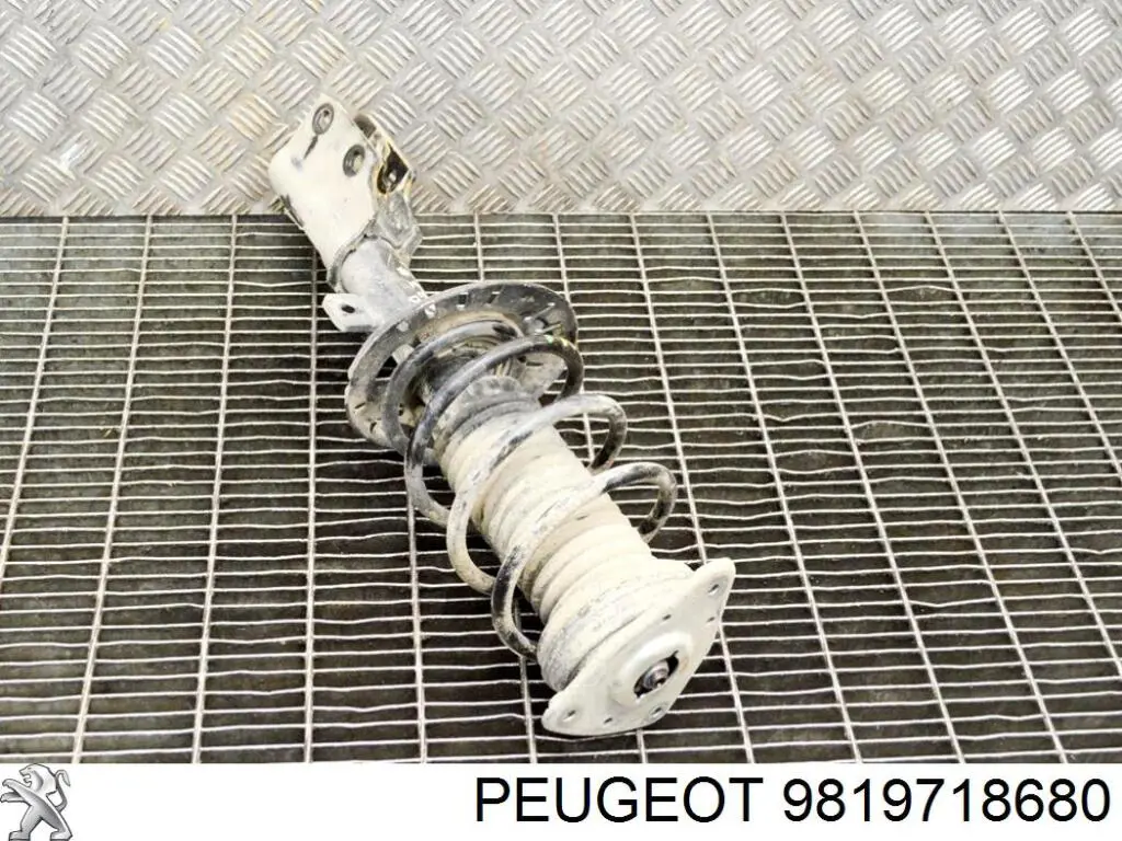 Amortyzator przedni Peugeot/Citroen 9819718780 cena, od 93,64 USD