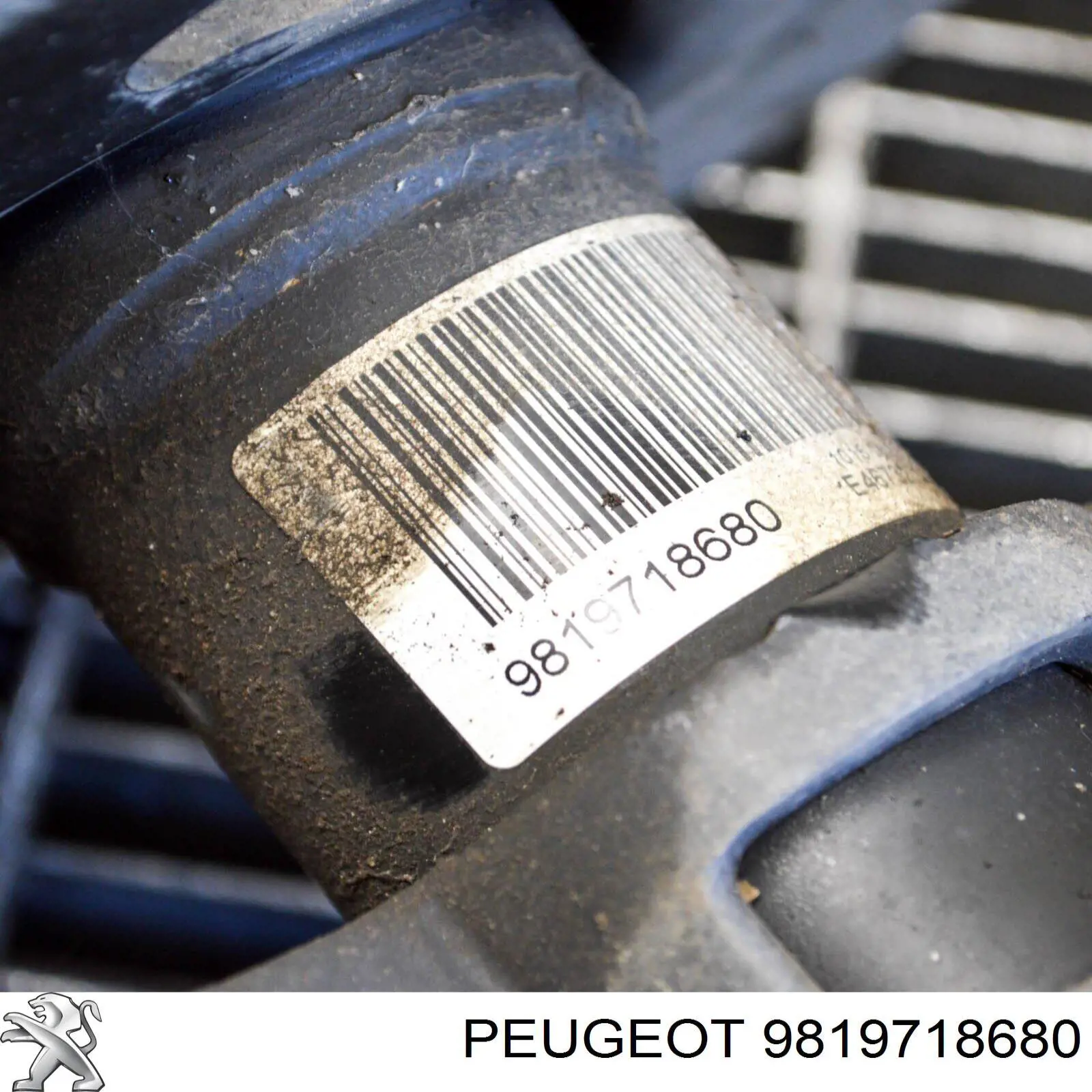 Amortyzator przedni Peugeot/Citroen 9819718780
