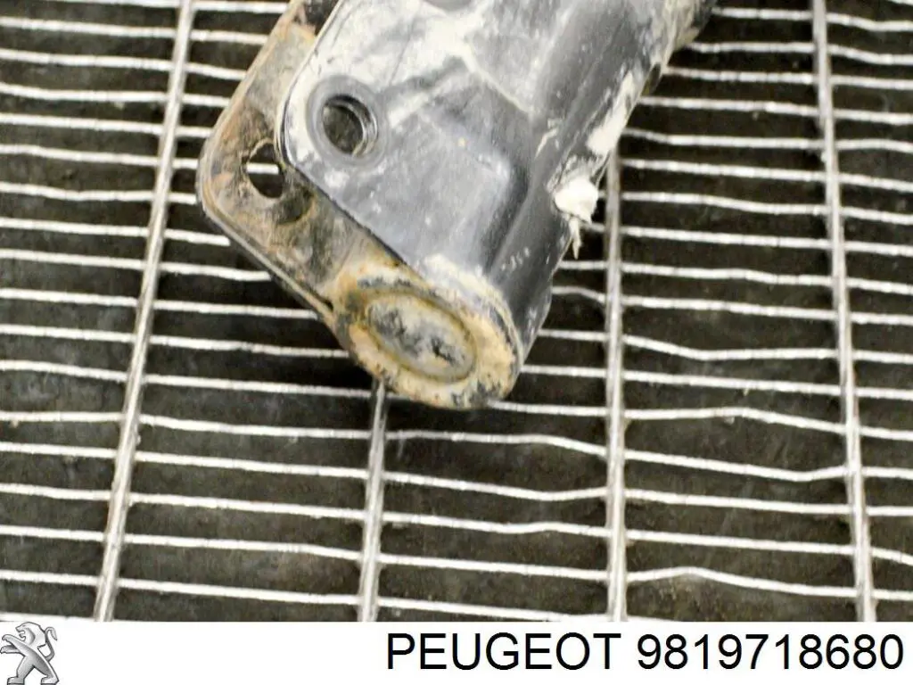 Do koszyka 9819718780 Peugeot/Citroen Amortyzator przedni