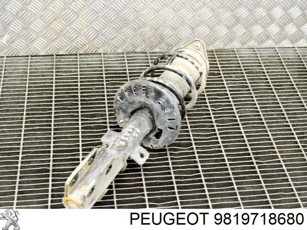 Do koszyka 9838262380 Peugeot/Citroen Amortyzator przedni