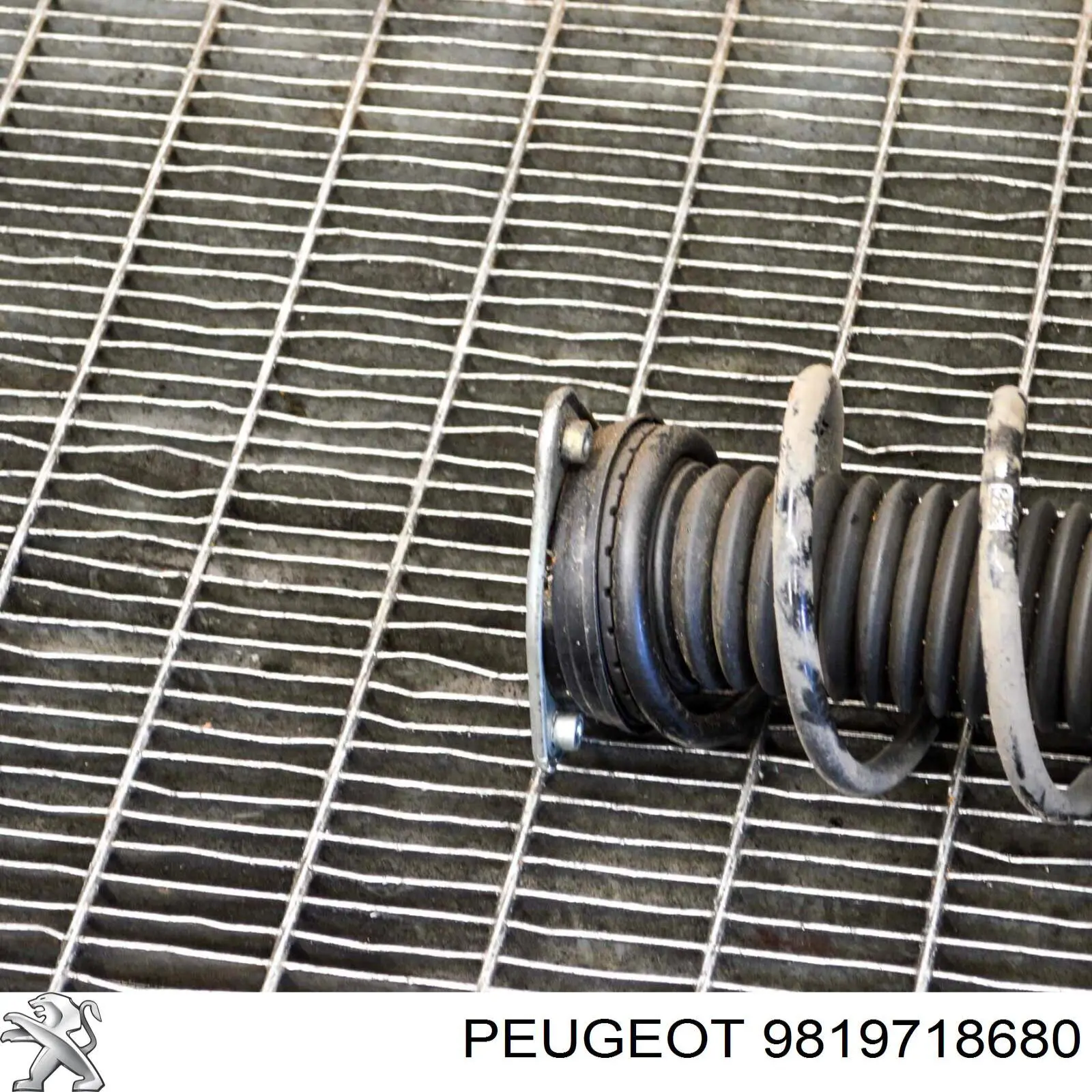 Amortyzator przedni 9838262380 Peugeot/Citroen