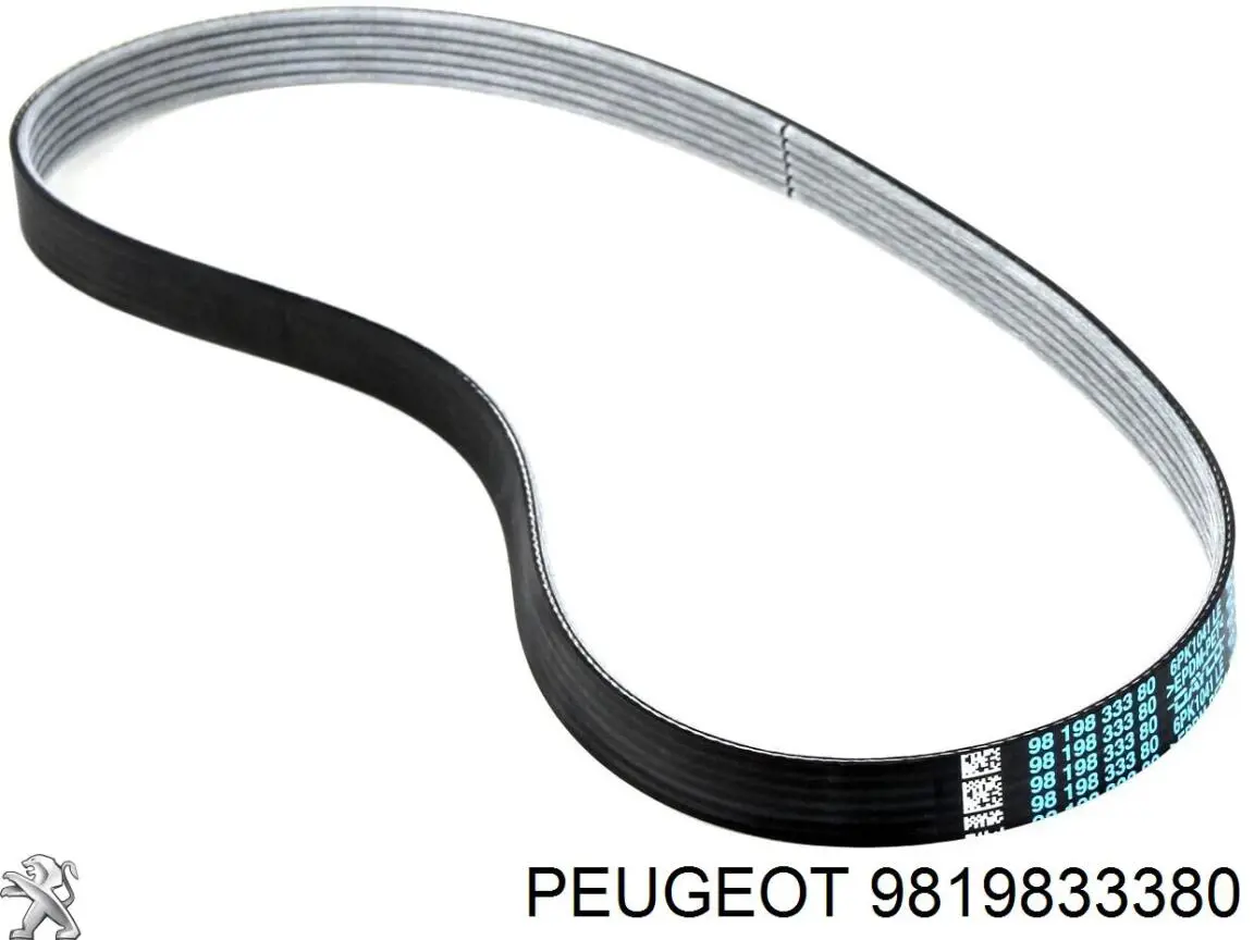 Pasek napędowy mechanizmów, zestaw 9819833380 Peugeot/Citroen