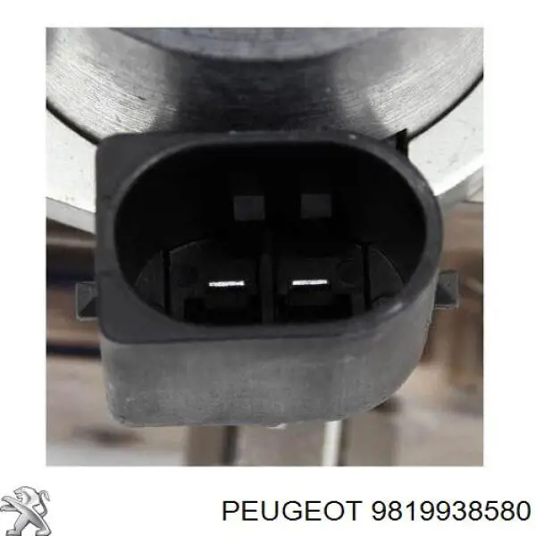Pompa wtryskowa wysokiego ciśnienia Peugeot/Citroen 9819938580 cena, od 1358,88 USD
