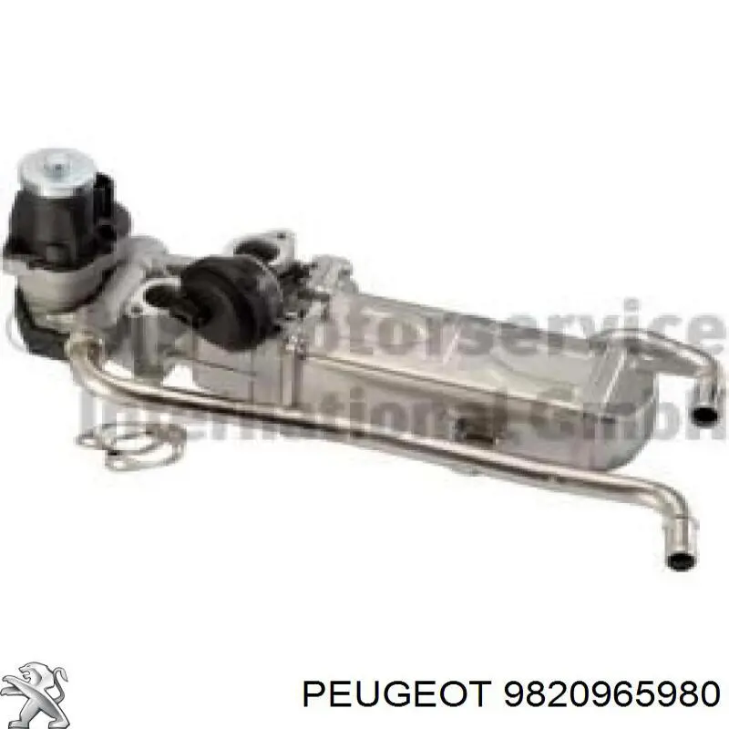 9678745680 Peugeot/Citroen Chłodnica układu recyrkulacji spalin EGR