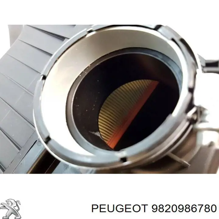 Obudowa filtra powietrza Peugeot/Citroen 9820986780 cena, od 78,43 USD