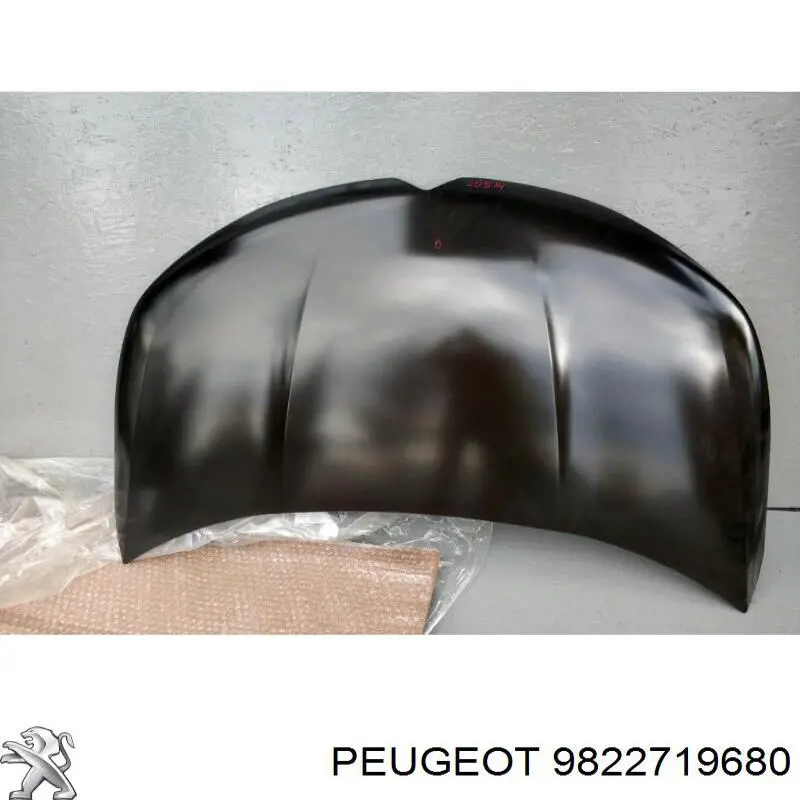Maska silnika Peugeot/Citroen 9822719680 cena, od 463,10 USD