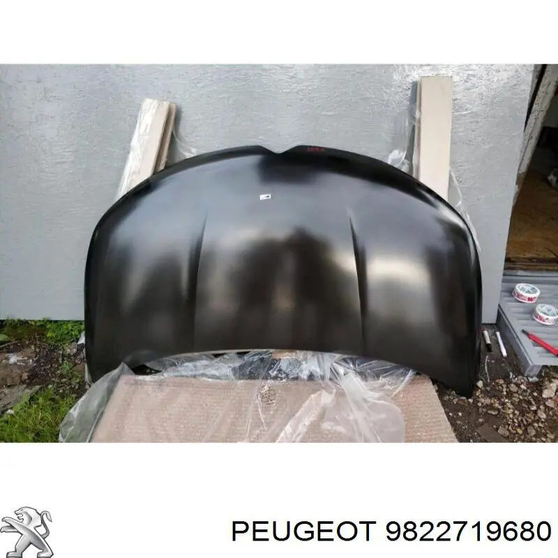 Do koszyka 9822719680 Peugeot/Citroen Maska silnika