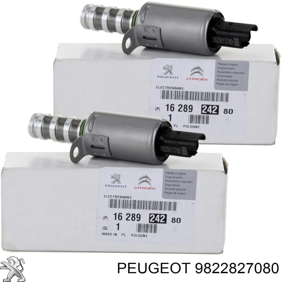 Do koszyka 9822827080 Peugeot/Citroen Łańcuch rozrządu
