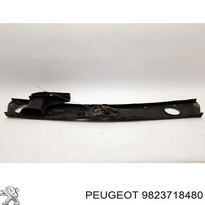 9823718480 Peugeot/Citroen Osłona chłodnicy kompletna (panel mocowania reflektorów)