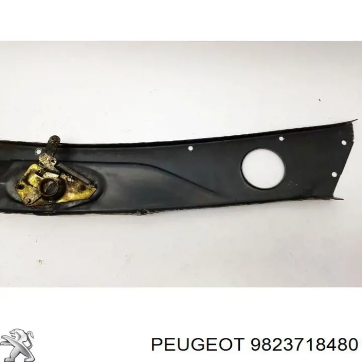 9823718480 Peugeot/Citroen Osłona chłodnicy kompletna (panel mocowania reflektorów)