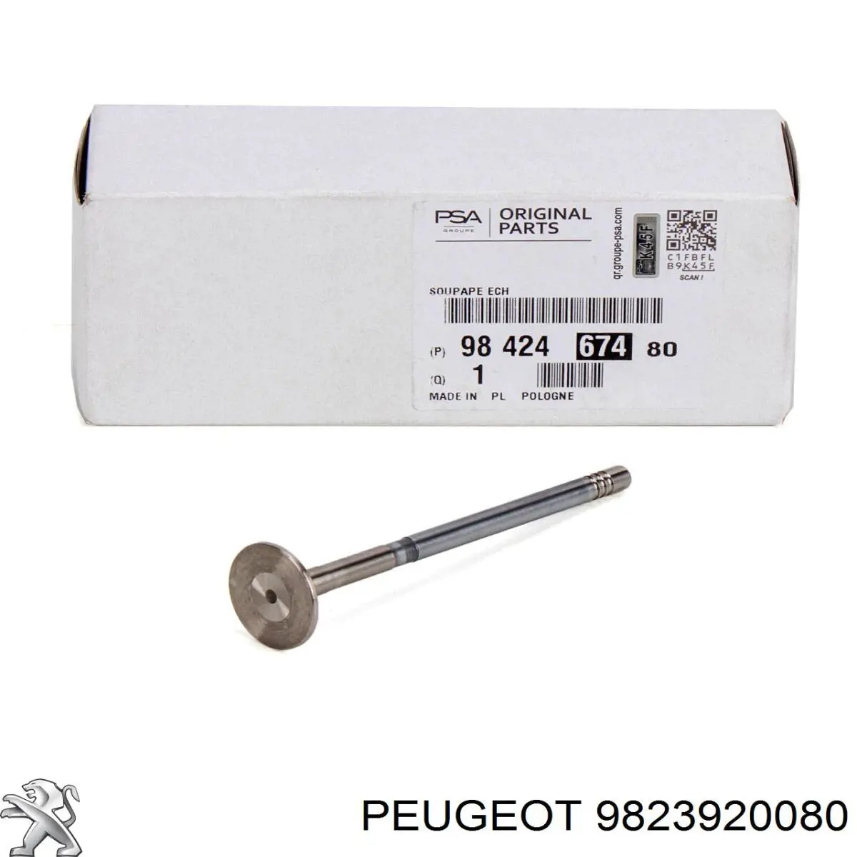 Do koszyka 9823920080 Peugeot/Citroen Uszczelniacz wałka rozrządu silnika