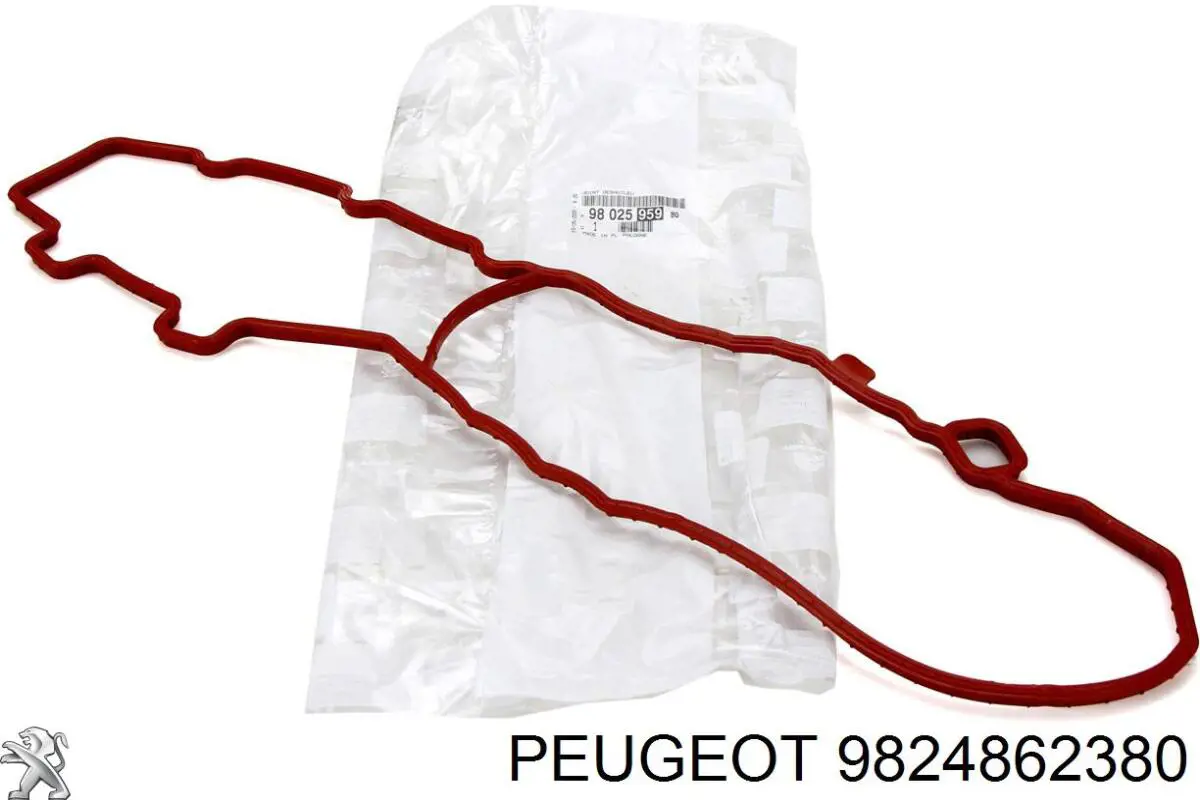  Peugeot/Citroen 9824862380