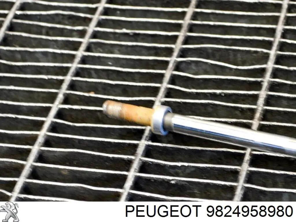 Amortyzator tylny Peugeot/Citroen 9824958980