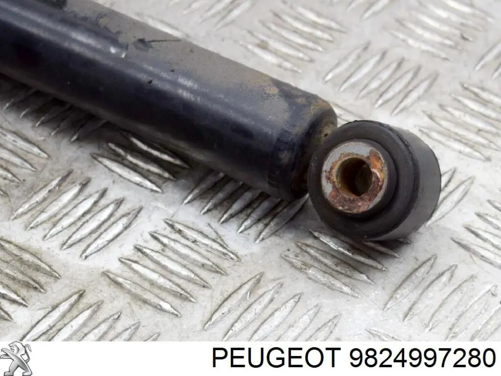  9824997280 Peugeot/Citroen