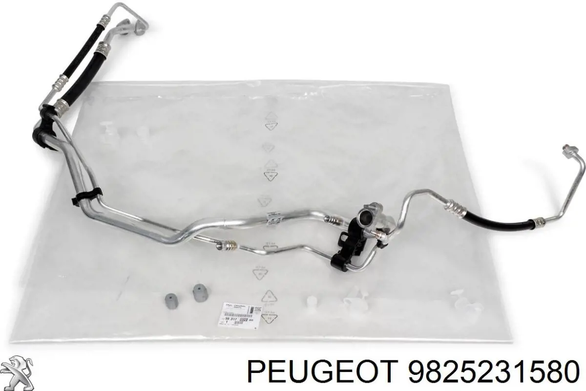  Peugeot/Citroen 9825231580 cena, od 146,62 USD