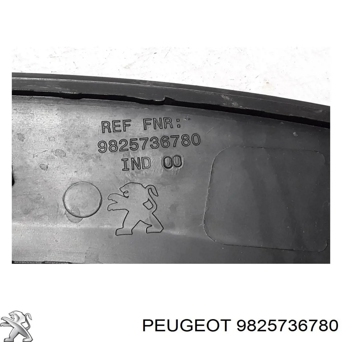 Do koszyka 9825736780 Peugeot/Citroen 