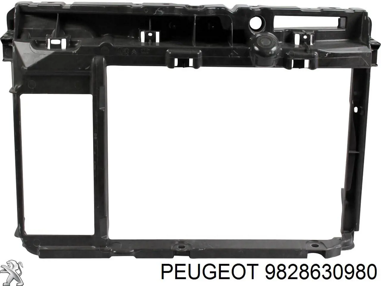9828630980 Peugeot/Citroen Maska silnika