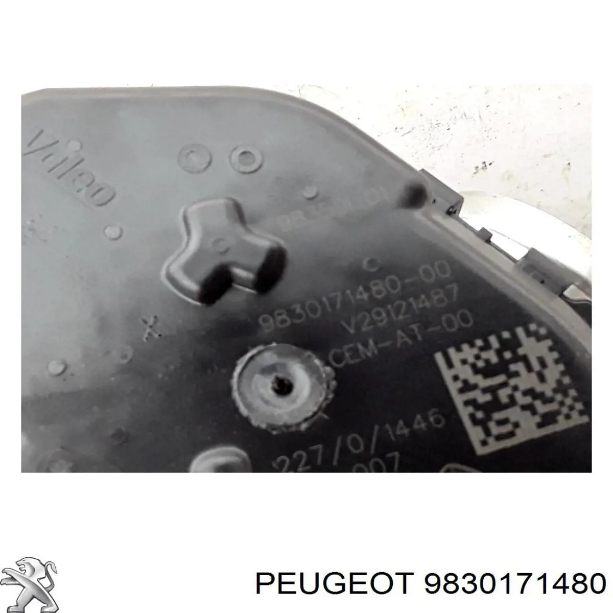 Przepustnica, komplet do Citroen C5 AIRCROSS 