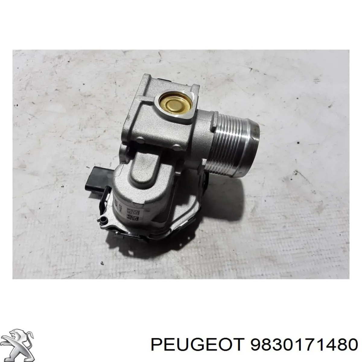 Przepustnica, komplet Citroen C5 AIRCROSS SUV (2018 - 2026) cena, od 125,05 USD