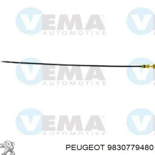 Do koszyka 9830779480 Peugeot/Citroen Bagnet poziomu oleju w silniku
