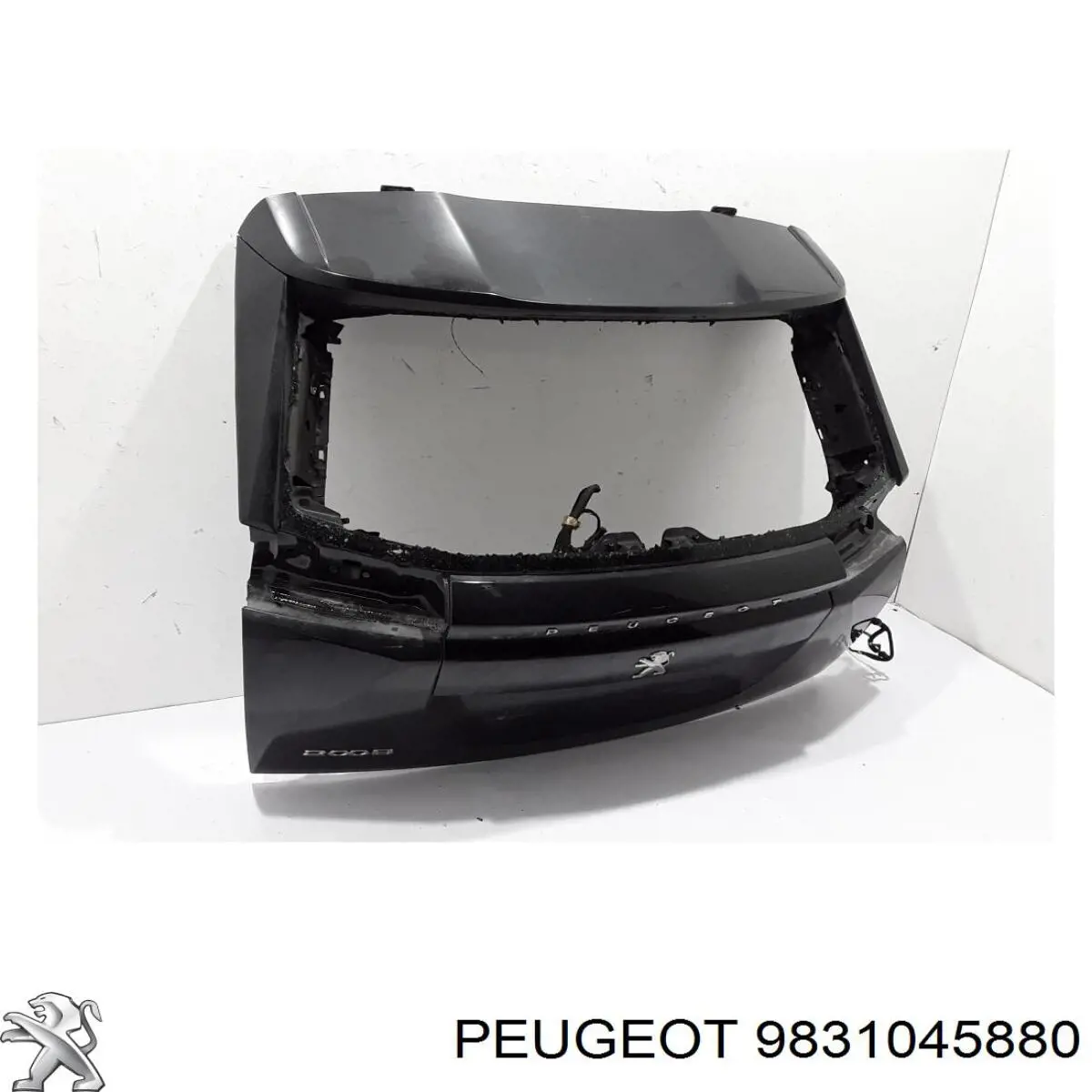 9831045880 Peugeot/Citroen Drzwi tylne (bagażnika 3/5)