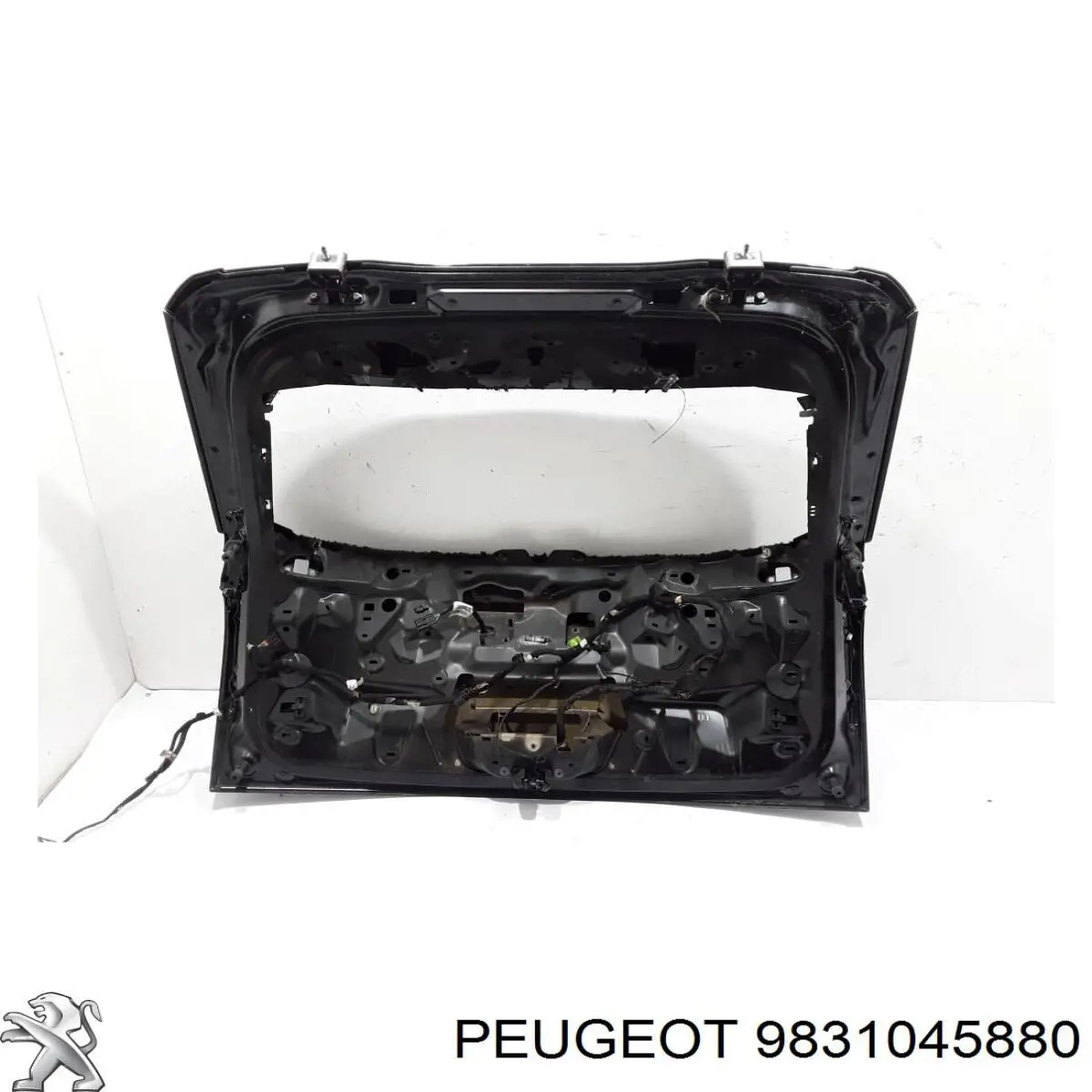 9831045880 Peugeot/Citroen Drzwi tylne (bagażnika 3/5)