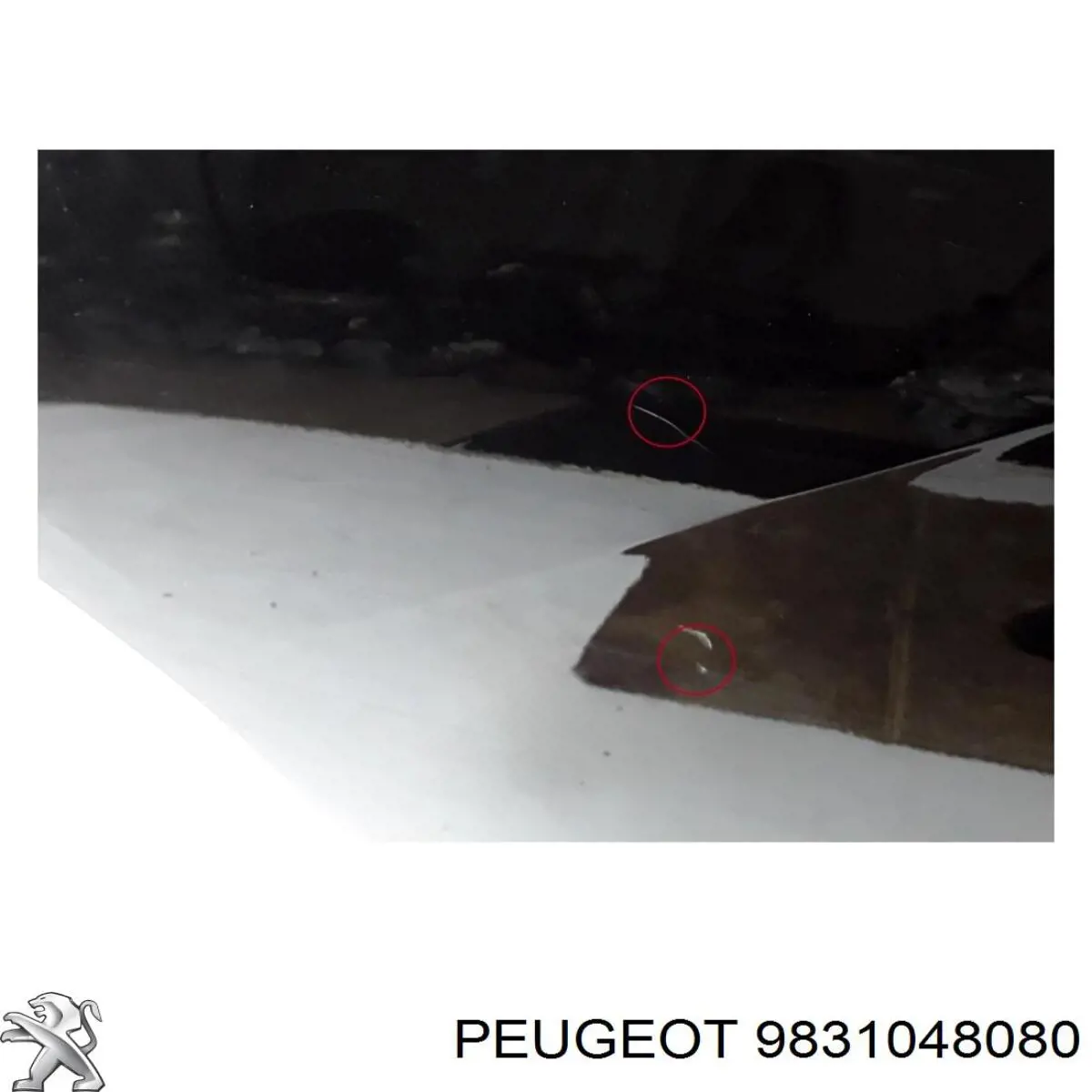 Drzwi tylne prawe Peugeot/Citroen 9831048080