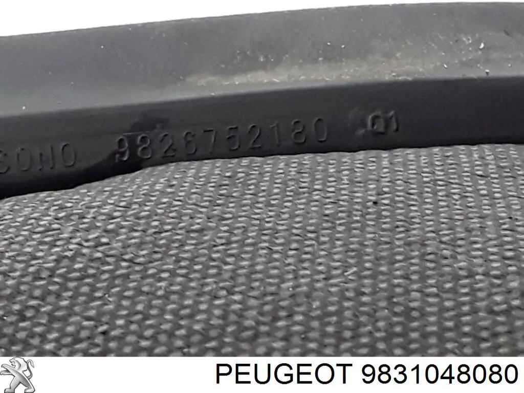 Do koszyka 9831048080 Peugeot/Citroen Drzwi tylne prawe