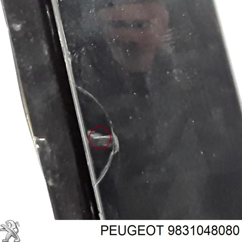 9831048080 Peugeot/Citroen Drzwi tylne prawe