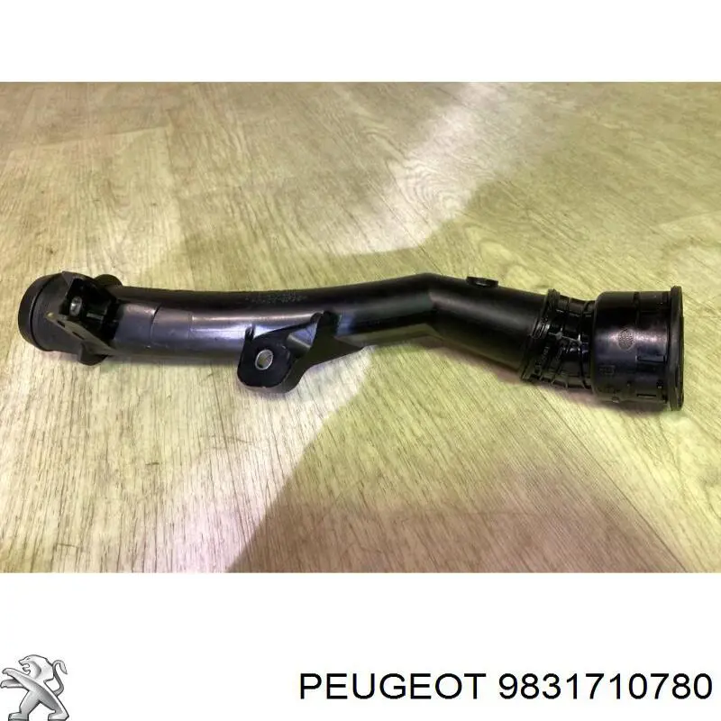 Przewód (króciec) intercoolera 9810958380 Peugeot/Citroen