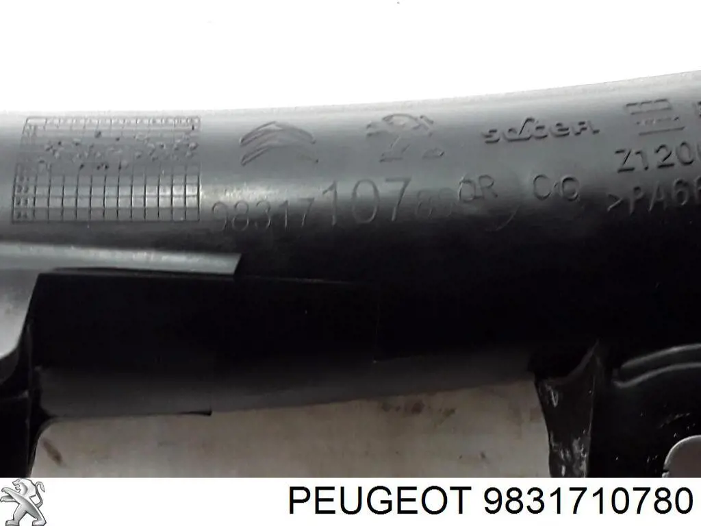 9810958380 Peugeot/Citroen Przewód (króciec) intercoolera