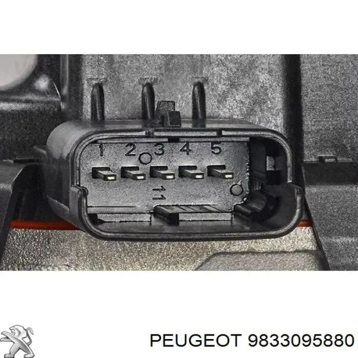 9833095880 Peugeot/Citroen Zawór recyrkulacji spalin EGR
