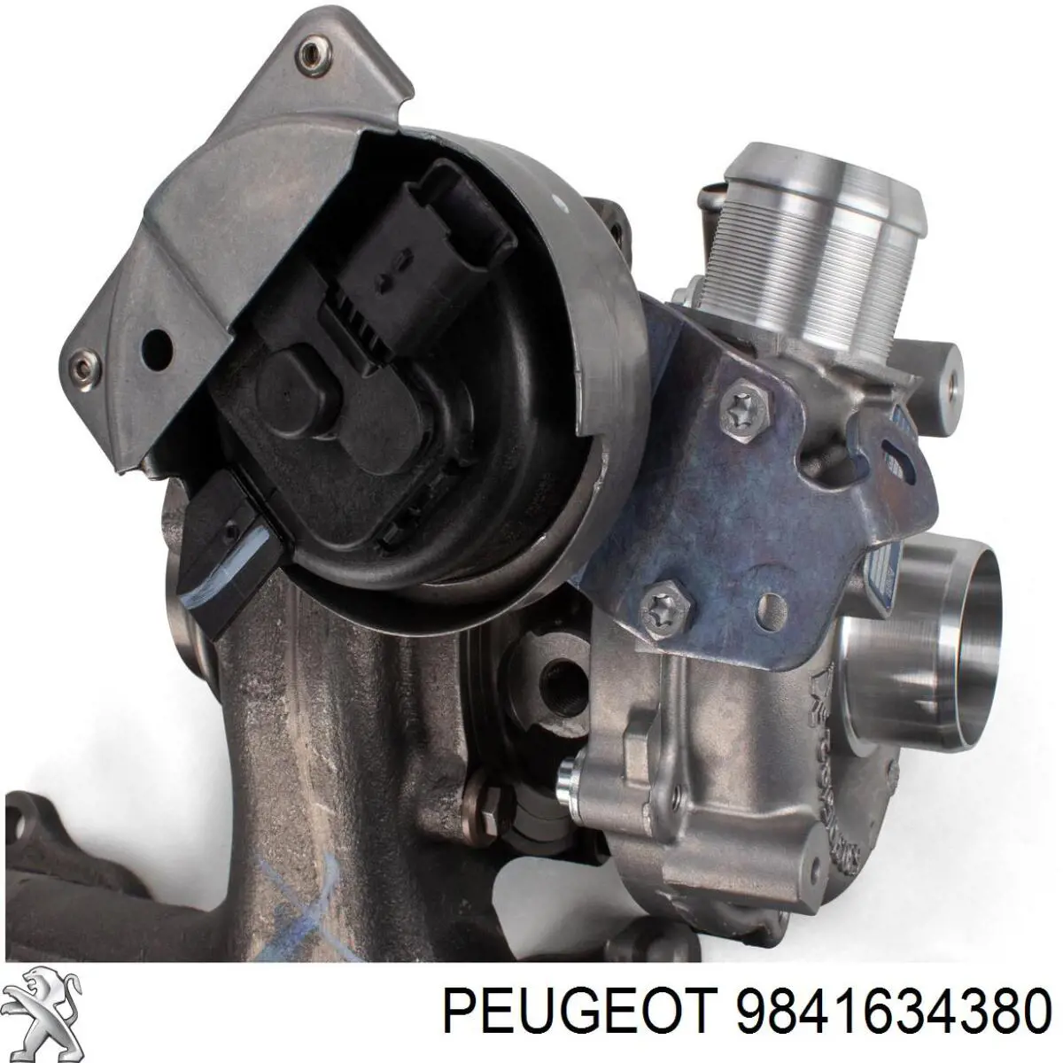 9841634380 Peugeot/Citroen Turbina