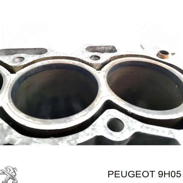 Silnik w komplecie do Citroen C4 II B7