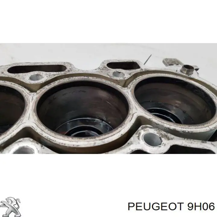  Silnik w komplecie Citroen C4 2