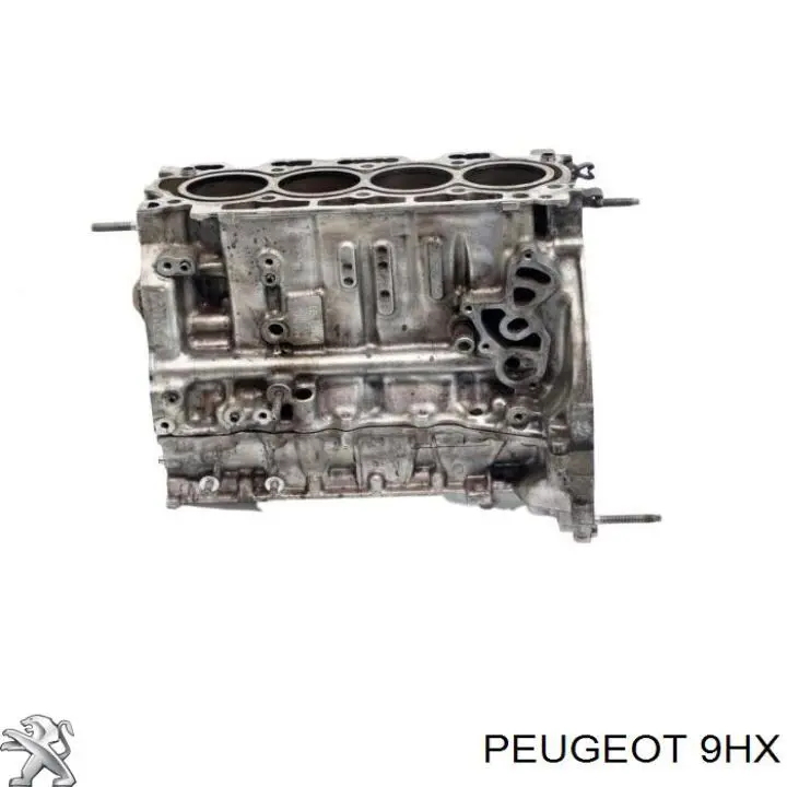 Silnik w komplecie do Suzuki SX4  GY