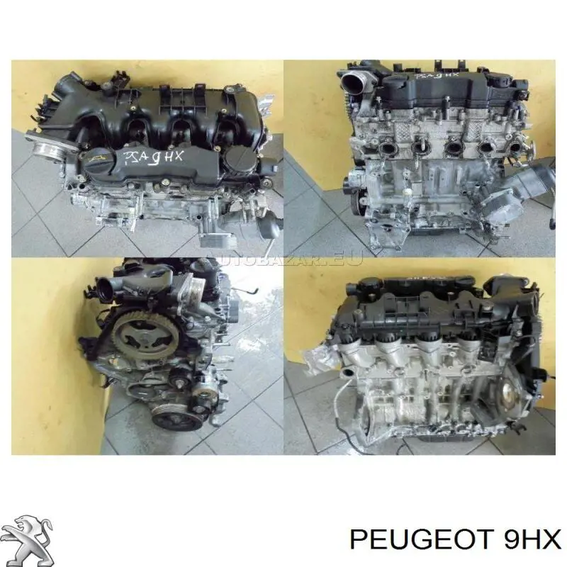 Silnik w komplecie Suzuki SX4 hatchback (GY) (2006 - 2026) cena, od  