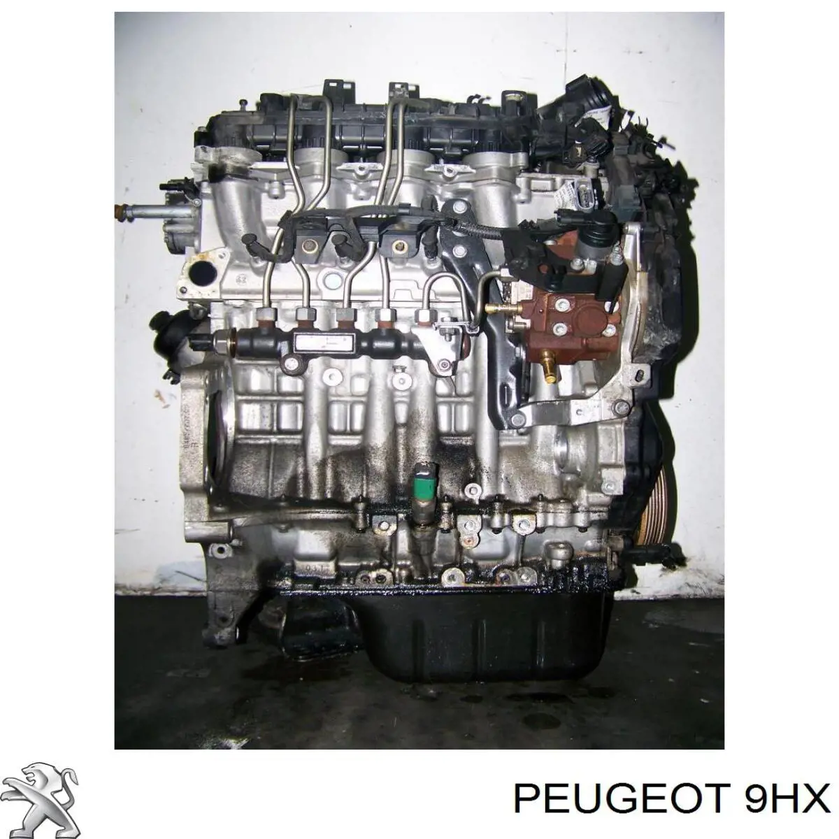 Do koszyka Silnik w komplecie Suzuki SX4  GY