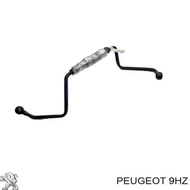 Silnik w komplecie 0135QE Peugeot/Citroen