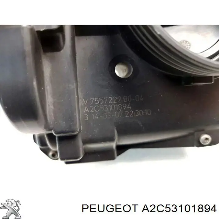Do koszyka A2C53101894 Peugeot/Citroen Przepustnica, komplet