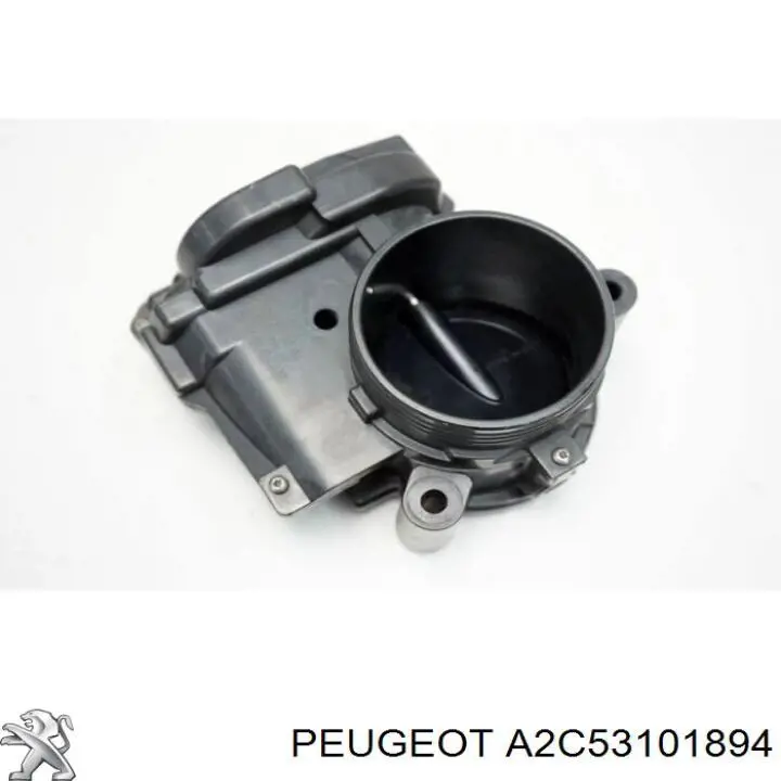 A2C53101894 Peugeot/Citroen Przepustnica, komplet