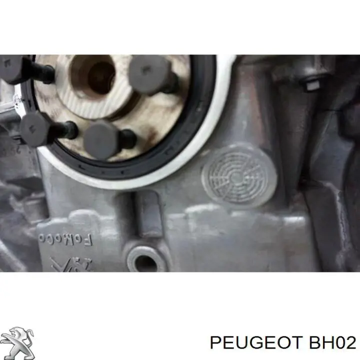 Silnik w komplecie do Citroen C4 II B7