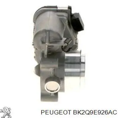 Do koszyka BK2Q9E926AC Peugeot/Citroen Przepustnica, komplet