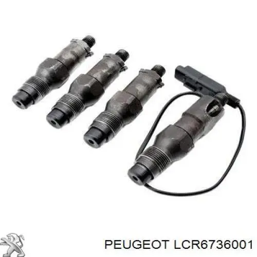LCR6736001 Peugeot/Citroen Wtryskiwacz paliwa