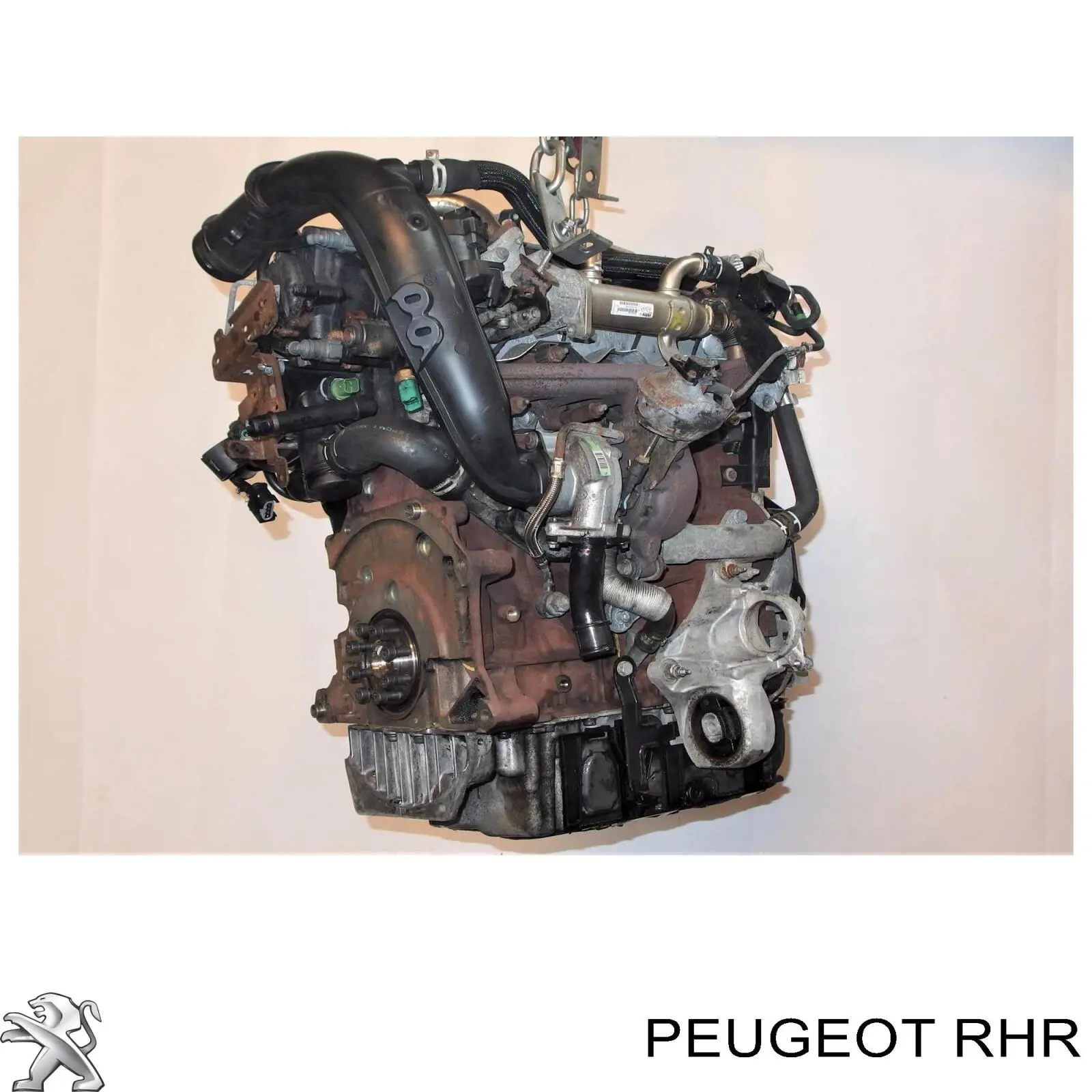 Do koszyka Silnik w komplecie Citroen Jumpy II 