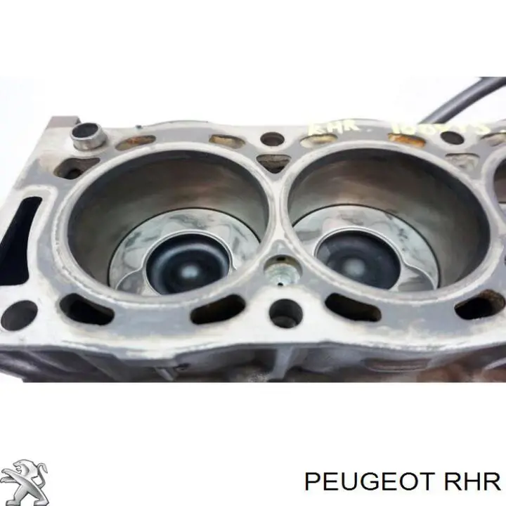 Silnik w komplecie Citroen Jumpy II awangarda (2007 - 2016) cena, od 75,60 USD