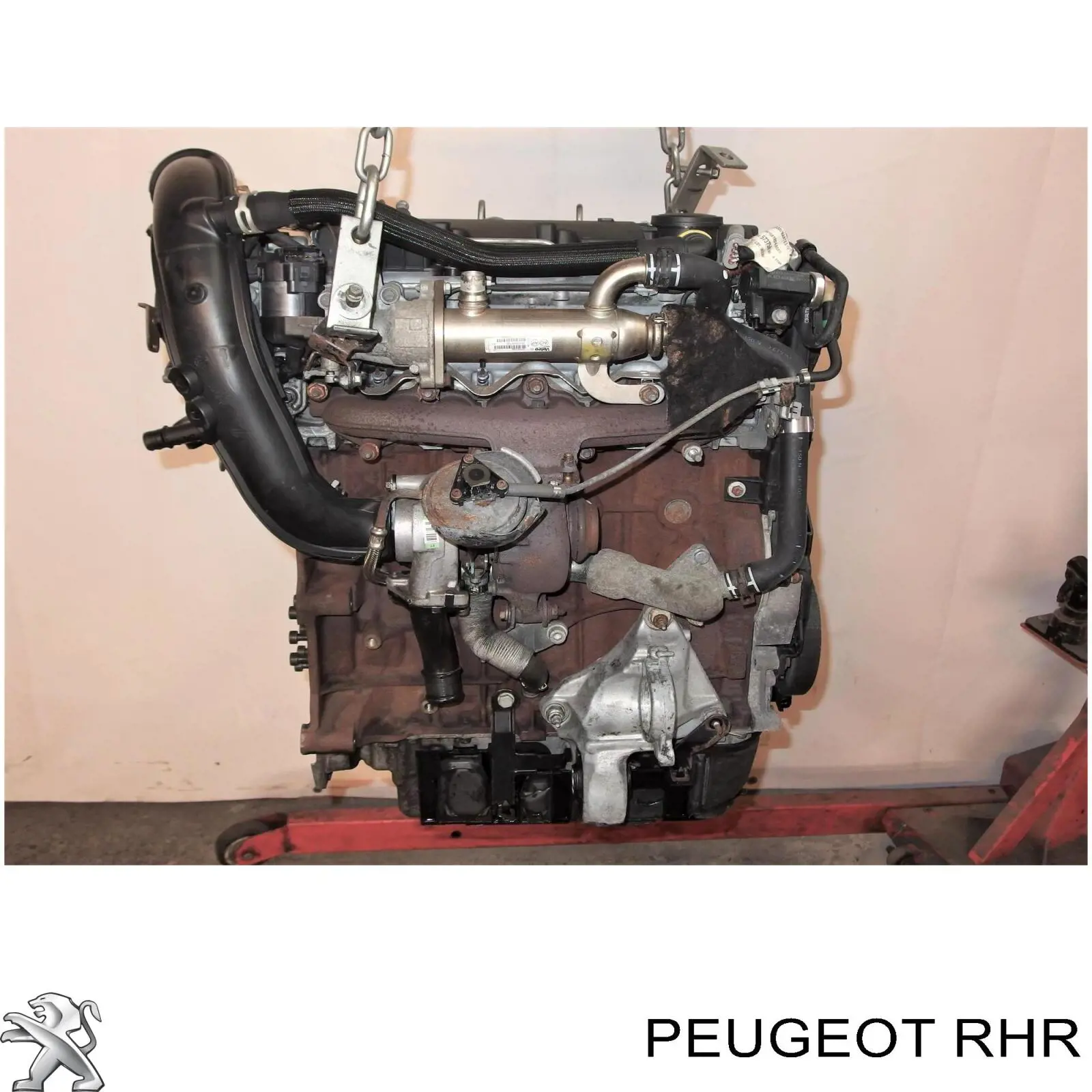 Silnik w komplecie do Citroen Jumpy II 